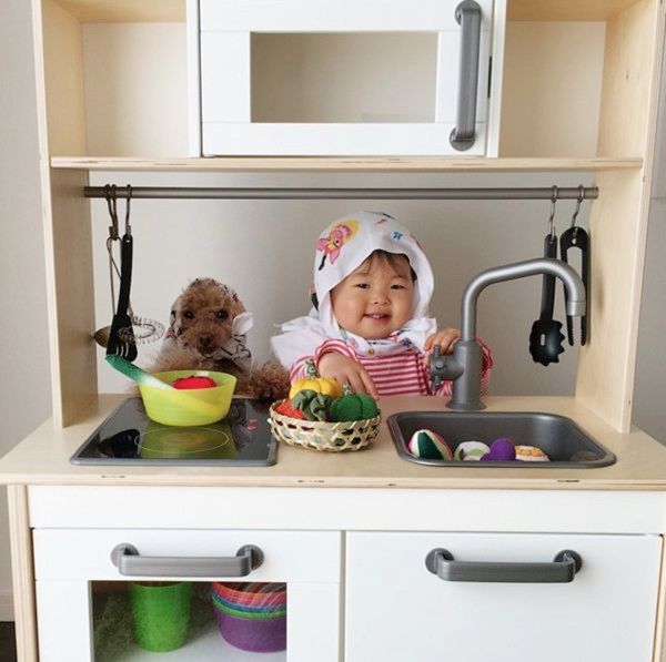 おままごとをする犬