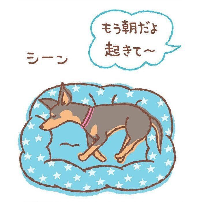 朝 愛犬がいつまでも寝ている のは年だからじゃない じつは病気かもしれないシニア犬のしぐさ行動4選 いぬのきもちweb Magazine