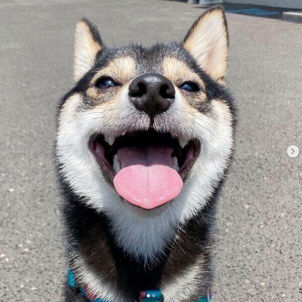 笑顔が可愛い煮豆くん