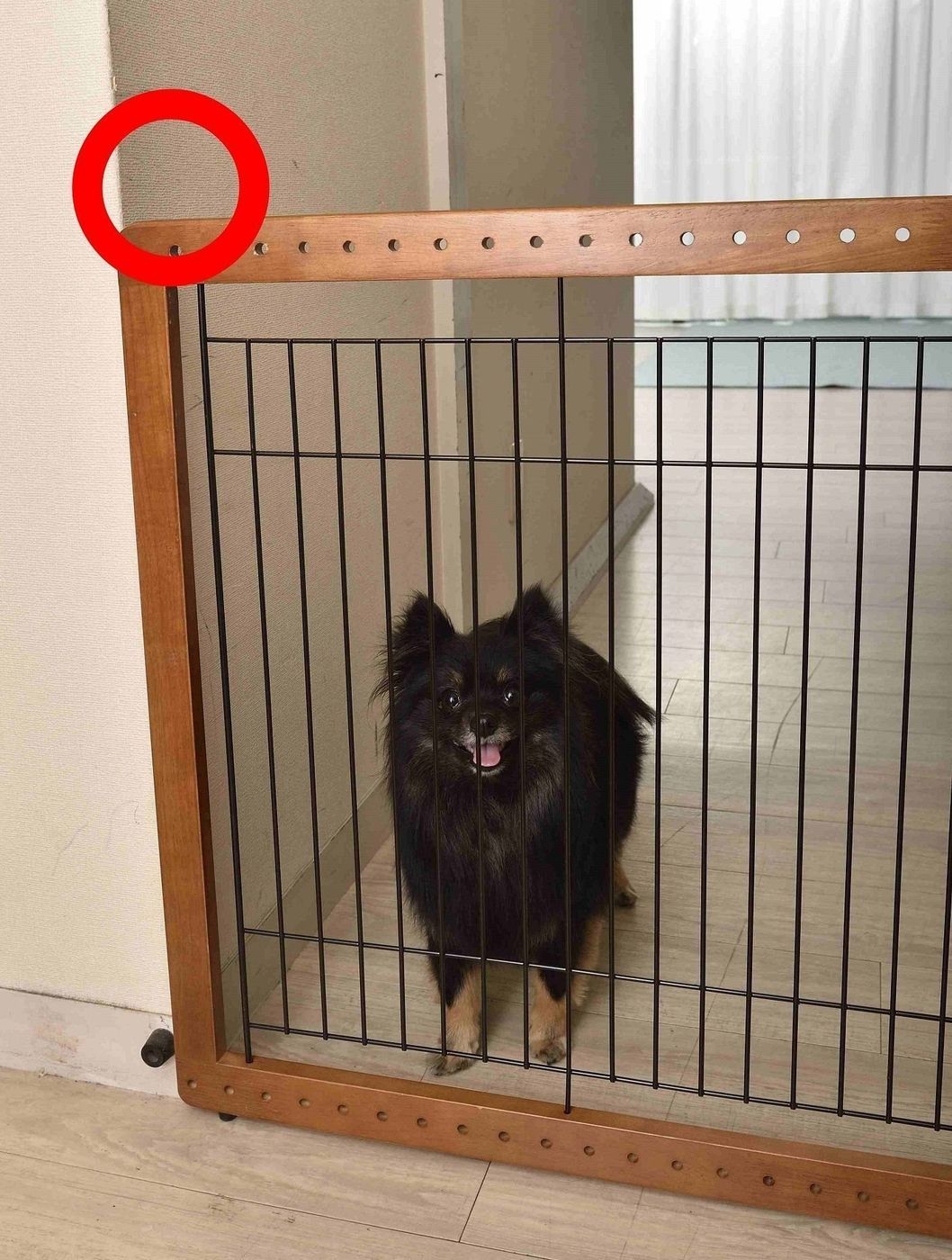 来客の ピンポーン で吠える犬 意外と効くワザ3選 いぬのきもちweb Magazine 来客の ピンポーン で吠える犬 意外と効くワザ3選 いぬのきもちweb Magazine