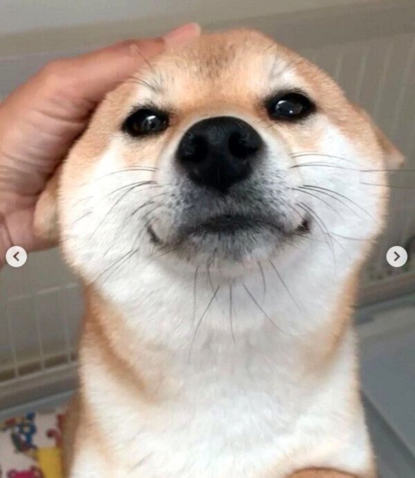 ヒコーキ耳をすることちゃん