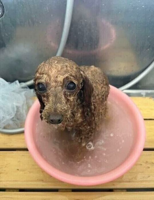 自らお湯に入って温まります