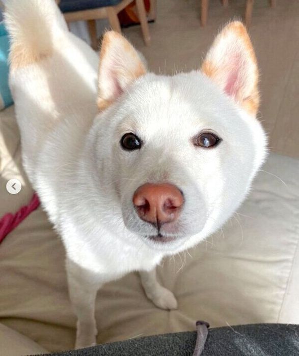 見つめるむぎちゃん