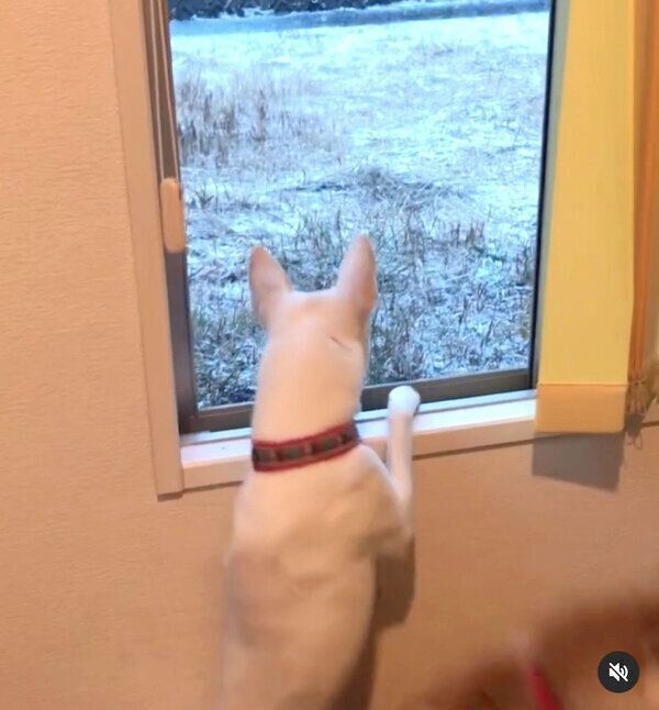 ハルちゃんにぶつかるすずちゃん