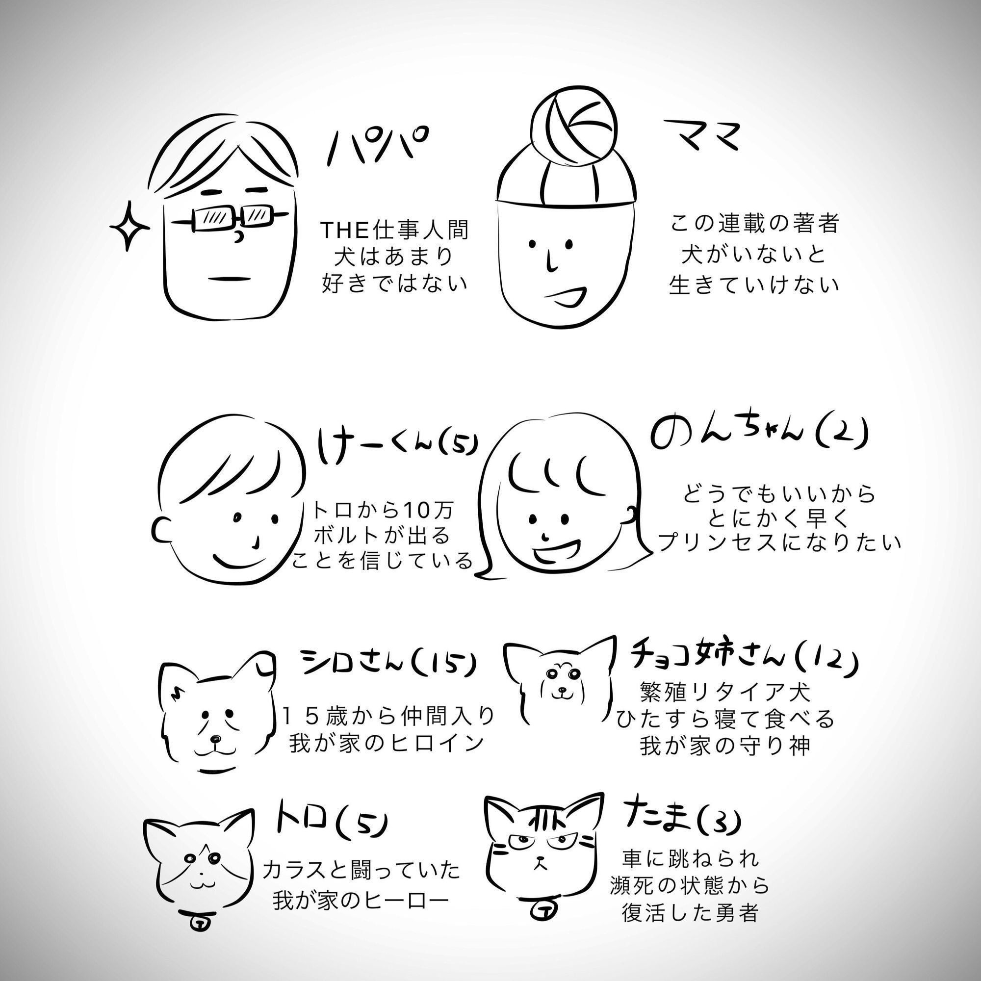 おばあちゃん犬がやってきた