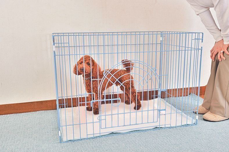 サークルを利用してはみ出し防止