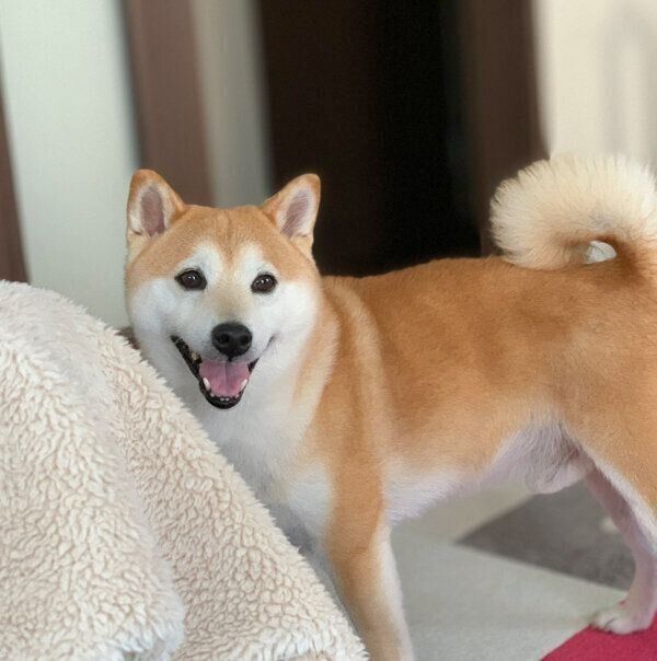 笑顔が可愛いこたろうくん