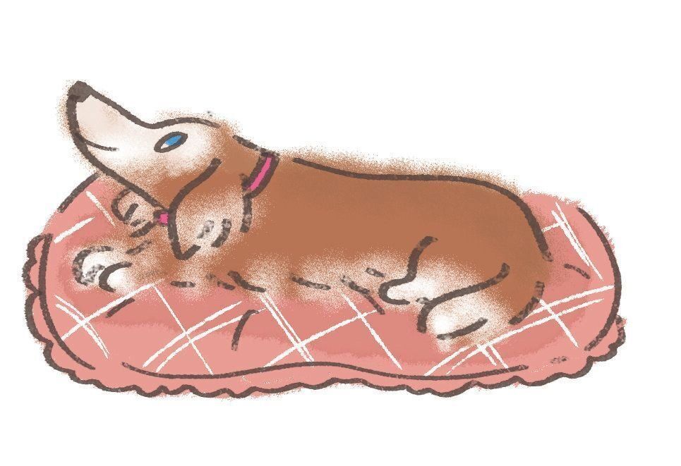 イラスト／セツサチアキ