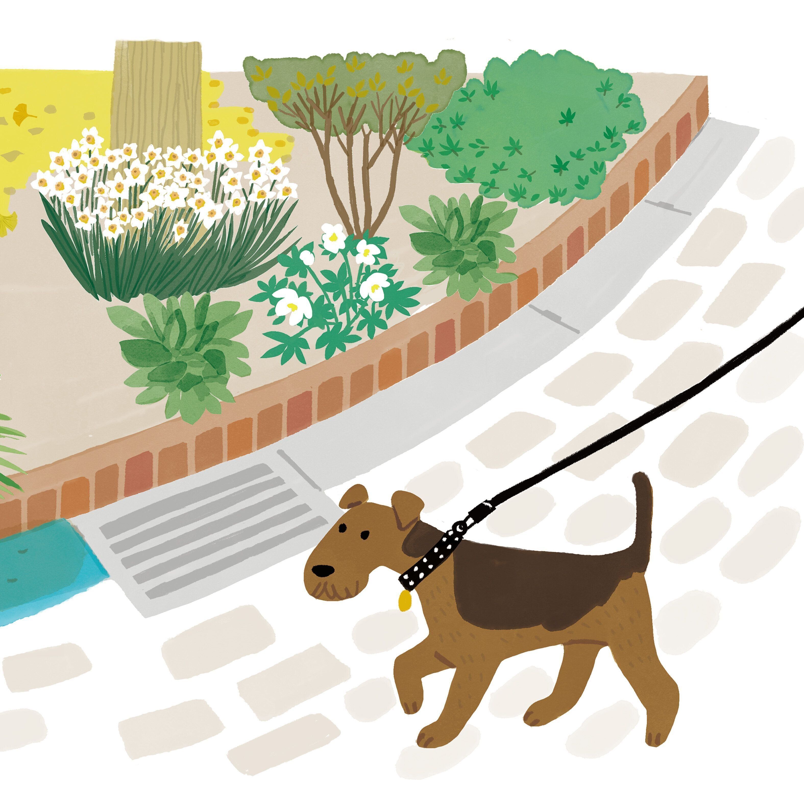 毒柴様専用ページ