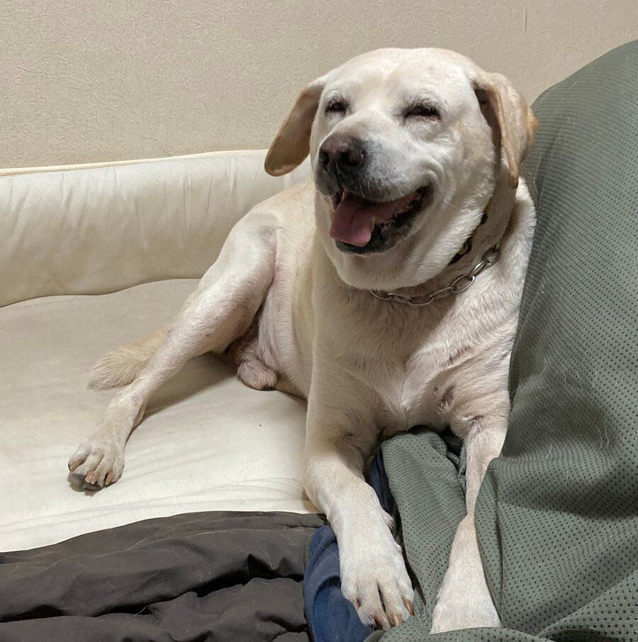 いい笑顔を見せる最近のばしょうくん