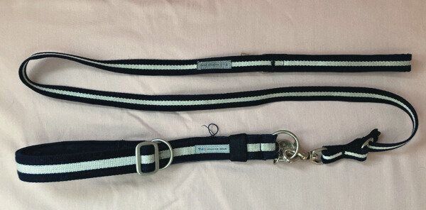 長さが変えられるリード