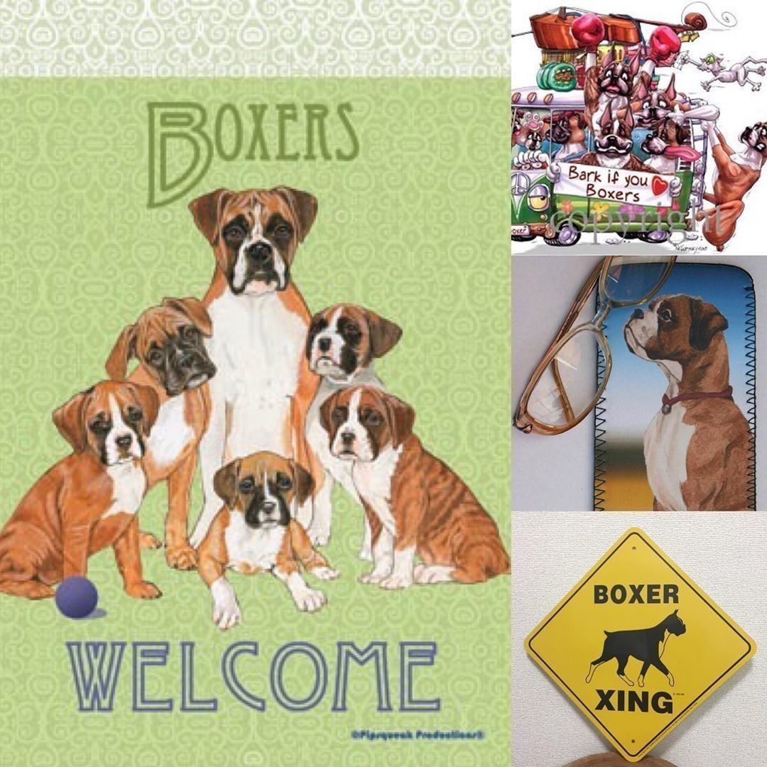 ボクサーのグッズ