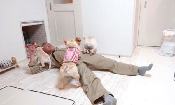 パパさんをお出迎えするボブくん・イブちゃんfamily