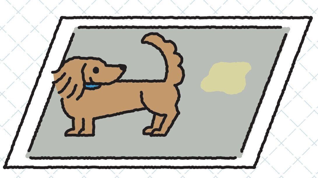 イラスト／亀山鶴子