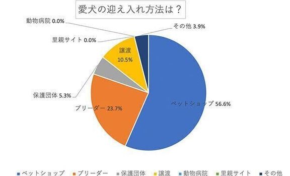 愛犬の迎え入れ方法は？