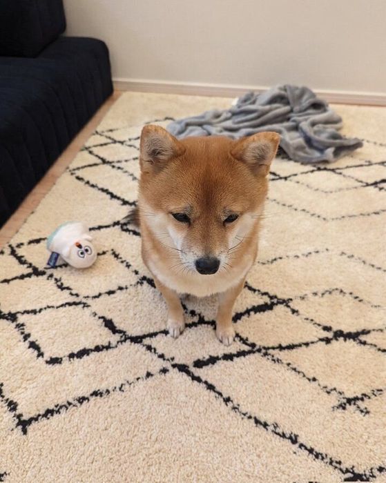 月曜日しょぼくれシリーズの福ちゃん