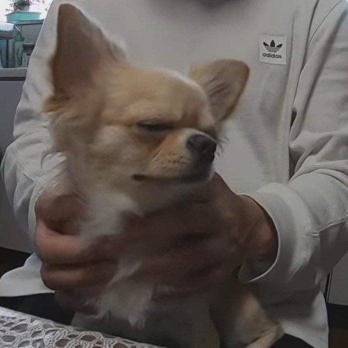 なんとも気持ちよさそうなみるくちゃん