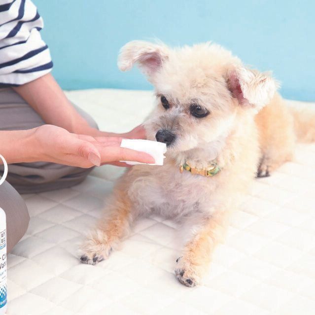 撮影／尾﨑たまき