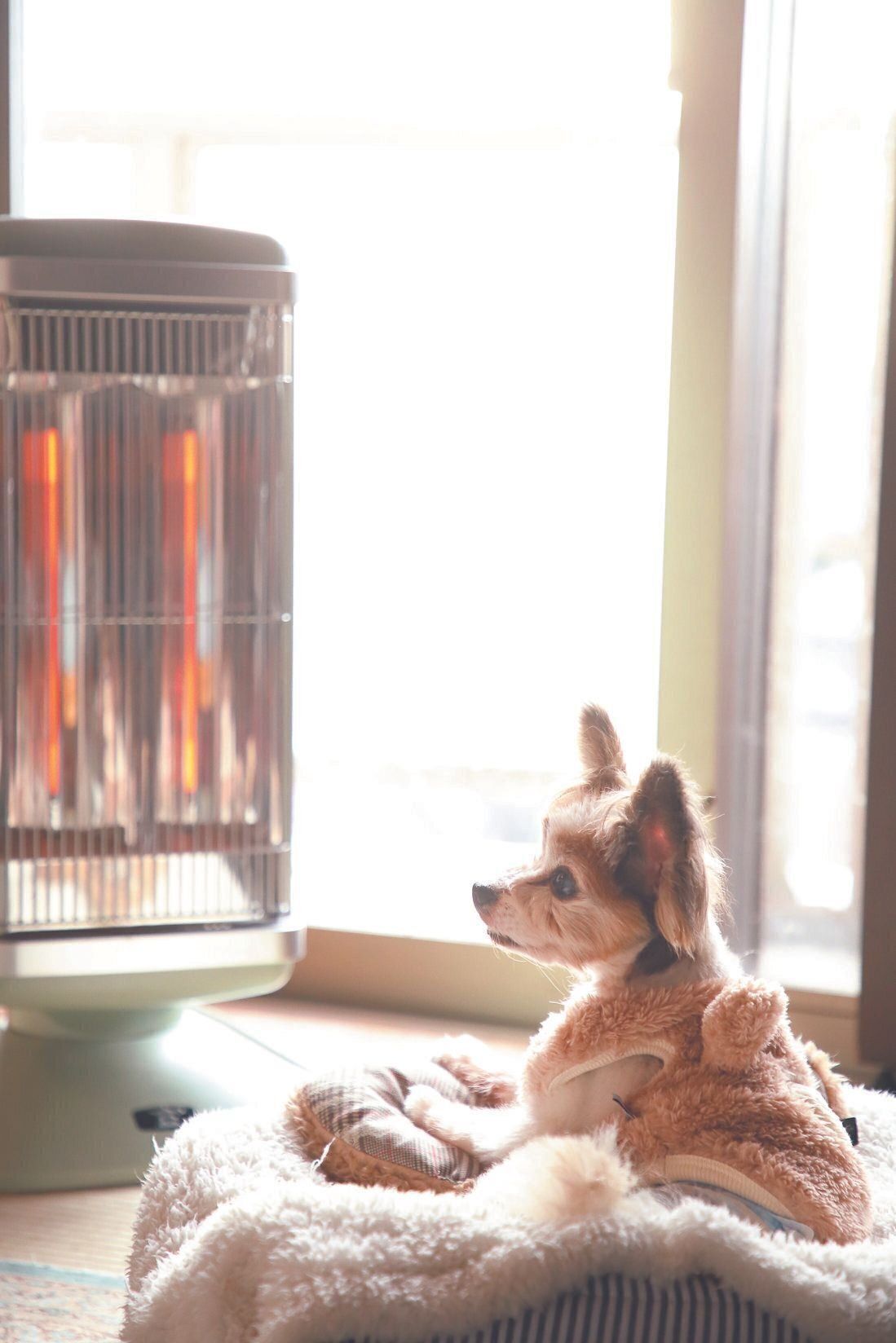 体を冷やさないため、遠赤外線ヒーターを活用。安全で電気代も安い！