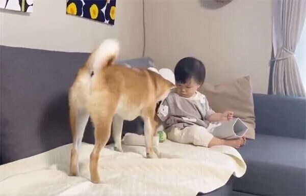 妹ちゃんのそばにボールを置くりんご郎くん