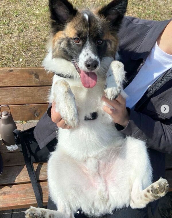 嬉しそうな表情を見せるぴーたくん