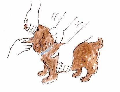 イラスト／フジマツミキ