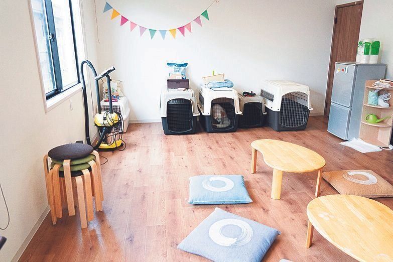 新たにペットホテルも増設。キドックスの卒業犬や近隣に住む方の愛犬がよく泊まりに来るそう