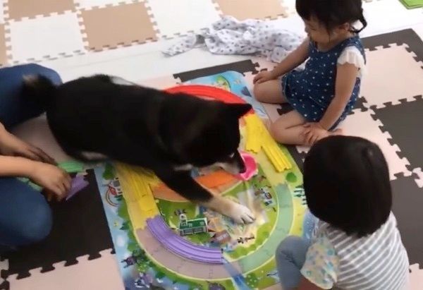 柴犬と子どもたち