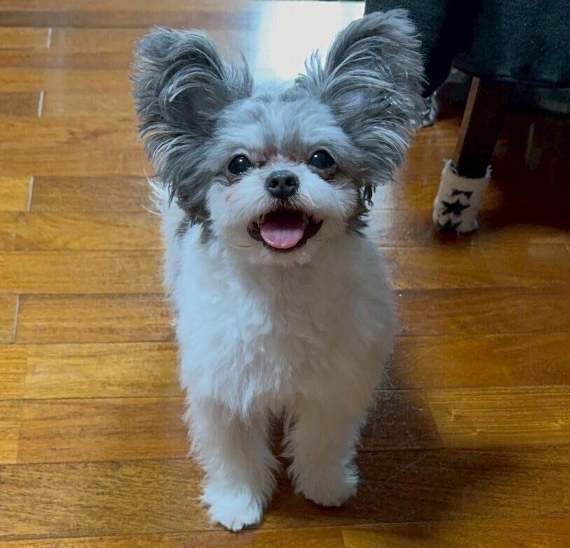 うれしそうな表情のもじゅくん