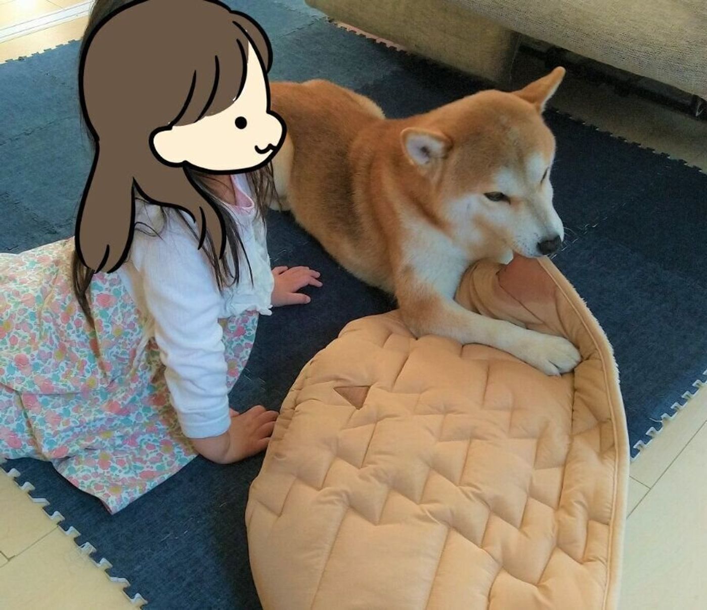 Rijpihdwfndrim Rijpihdwfndrim