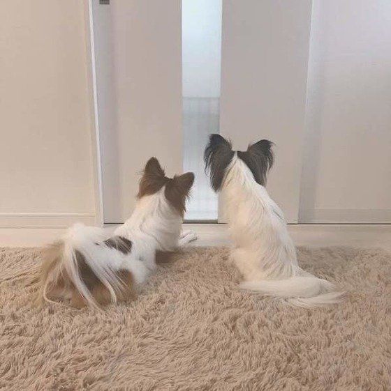 早く帰ってきてね