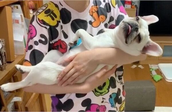 抱っこされるまるちゃん