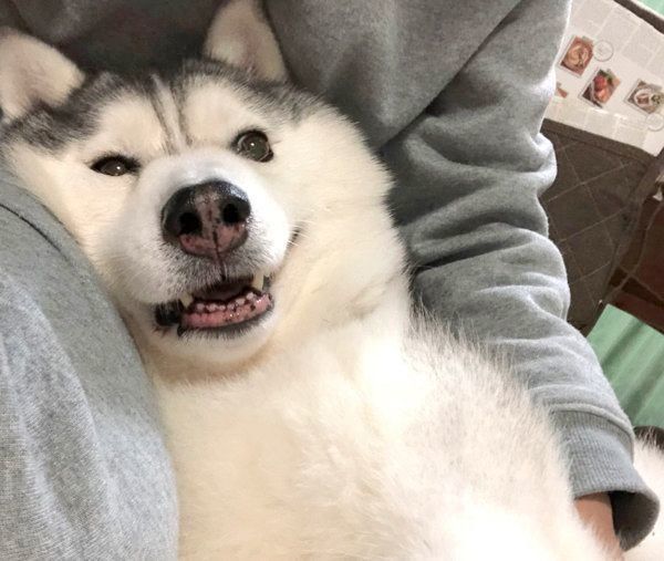 いいお顔をするシルビアちゃん