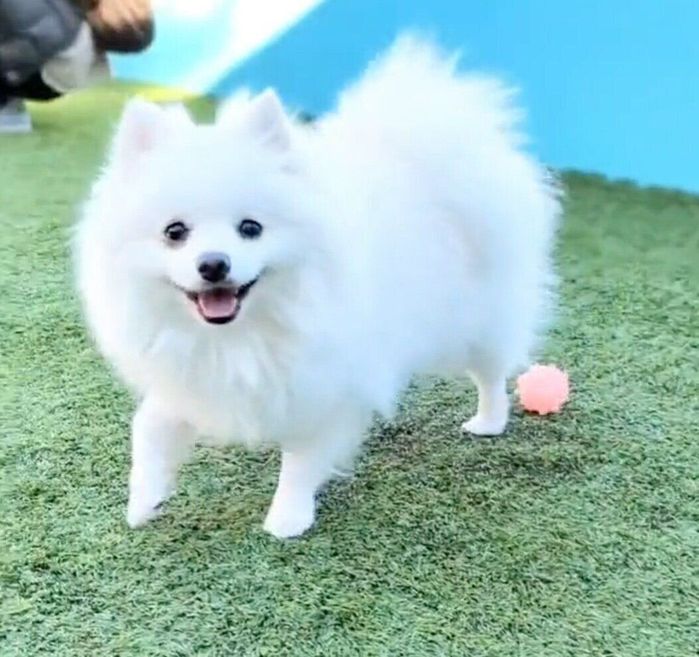 ボール遊びを楽しむくまちゃん
