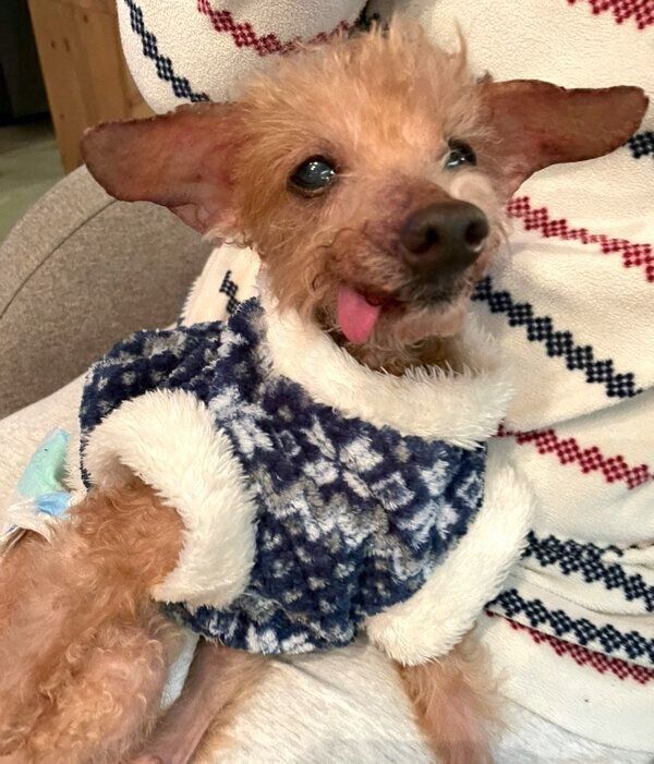 抱っこしてもらうこむぎじいちゃん