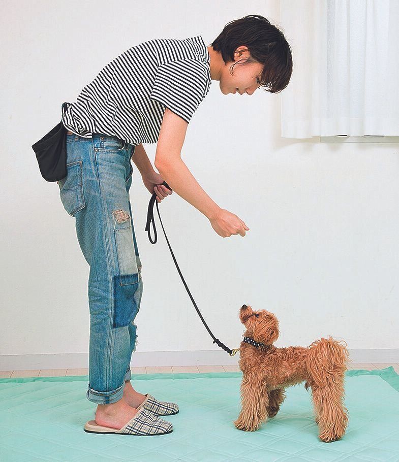 握ったフードを鼻先に近づける直前に「オイデ」