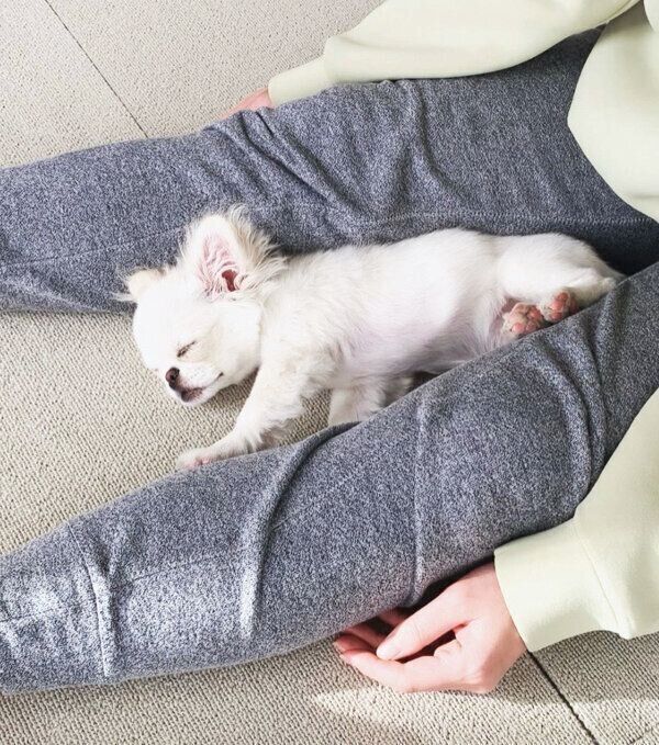 気持ちよさそうに眠るとろろちゃん