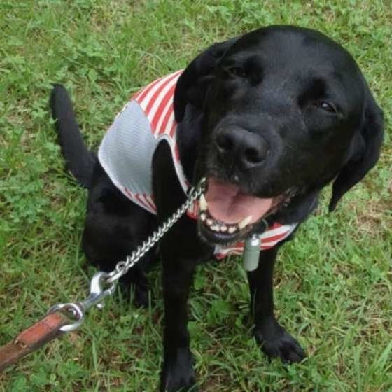 介護疲れにならないために