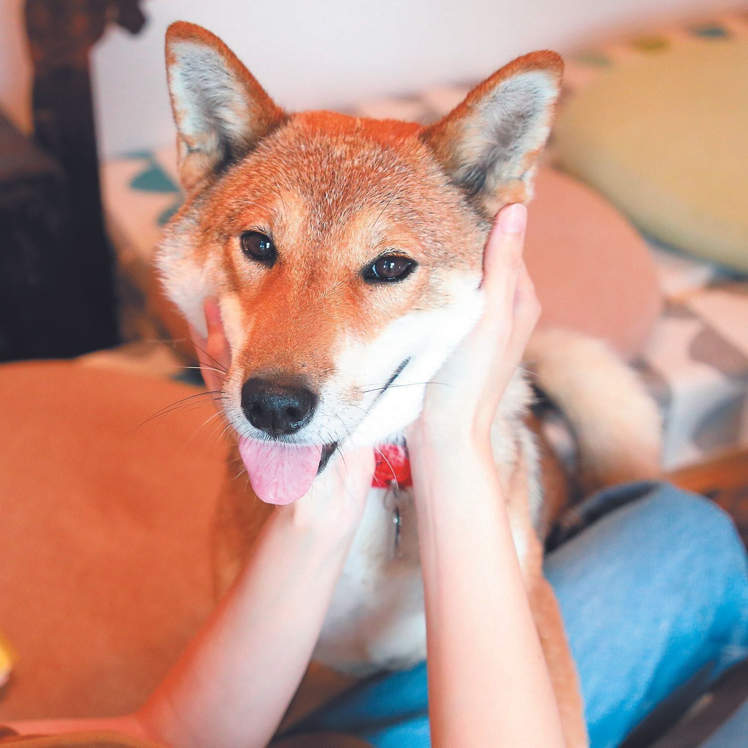 撮影／尾﨑たまき