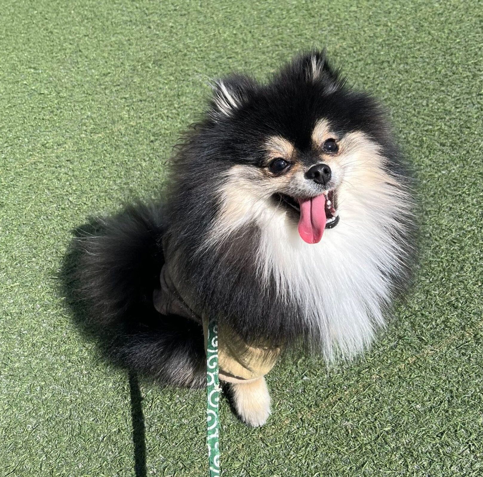 笑顔が可愛い五朗丸くん