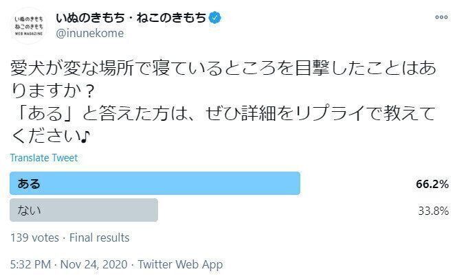 変な場所で寝る愛犬についてのアンケート