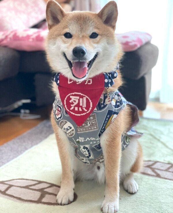 笑顔のレッカくん