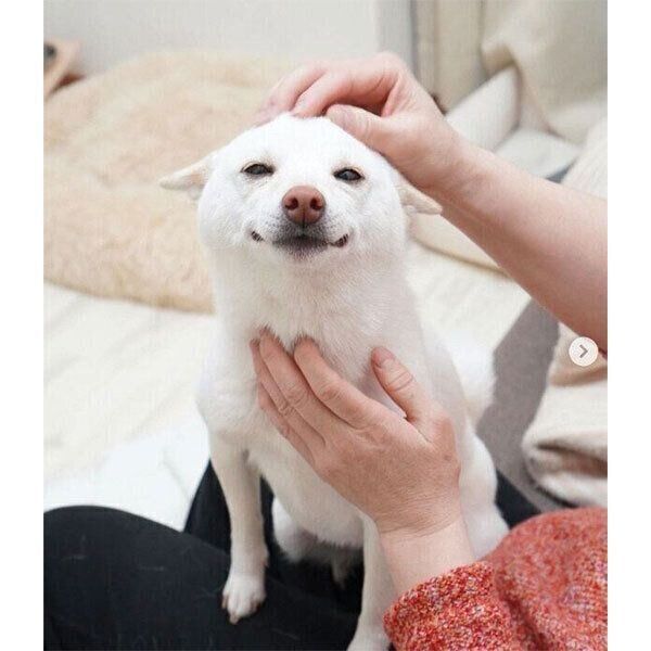 おばあちゃんに甘えるまめたちゃん