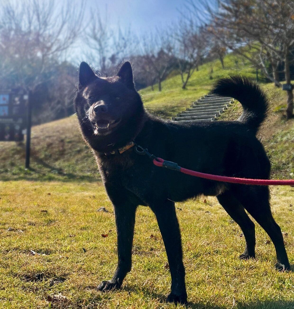 ニコニコの笑顔を見せる斬九郎くん