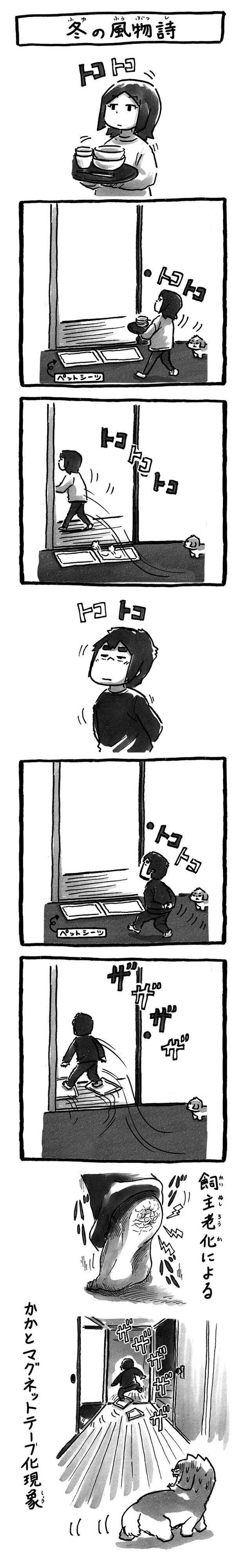 シーズー犬マンガてんぽshihtzu