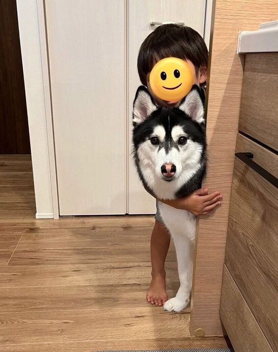 仲良しなルーナちゃんと息子さん