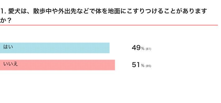 愛犬は、散歩中や外出先などで体を地面にこすりつけることがある？