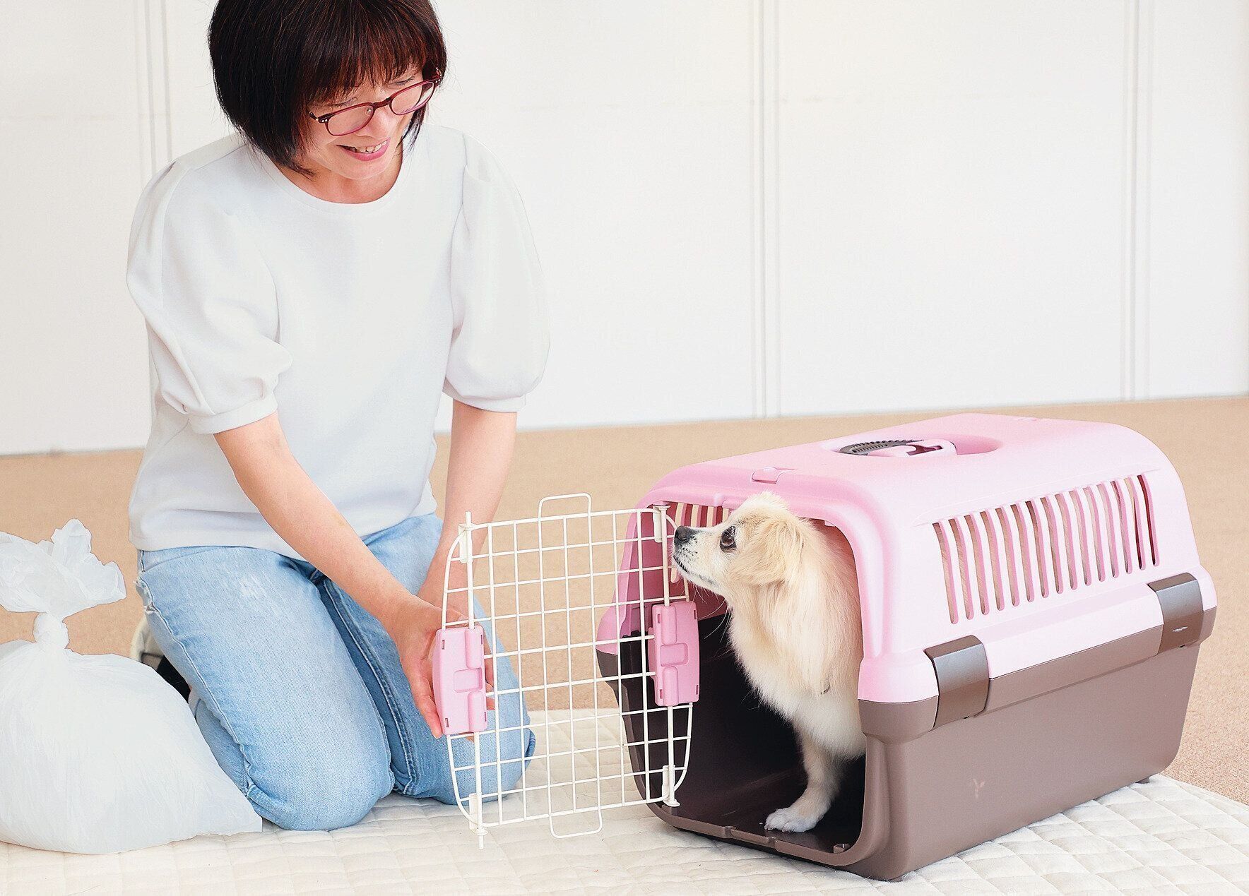 クレートに入る犬