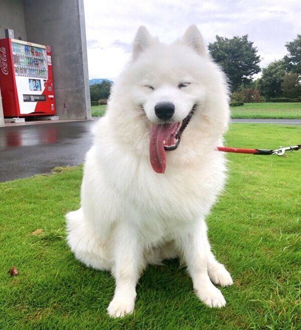 笑顔のサニーちゃん