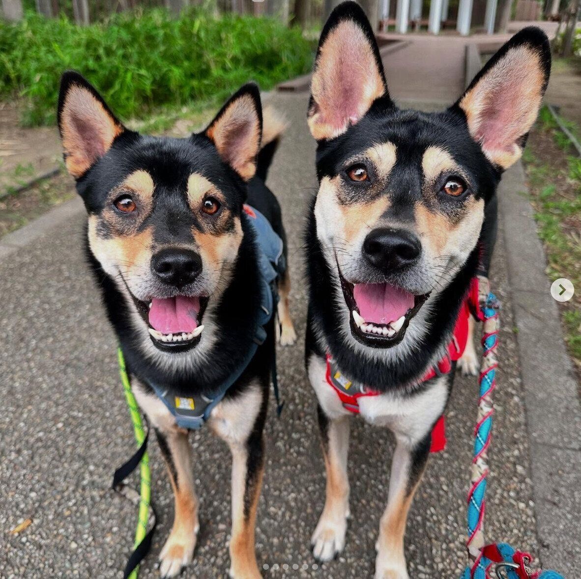 笑顔が可愛いななちゃん、いぶきくん